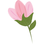 Blomma rosa 1